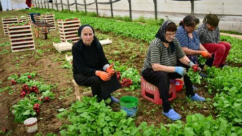In rural Romania, voters hope for far right to bring change