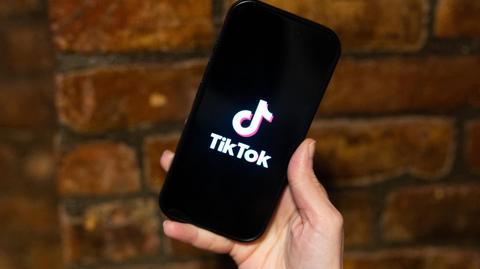 Participatory project: How does TikTok influence voting decisions?