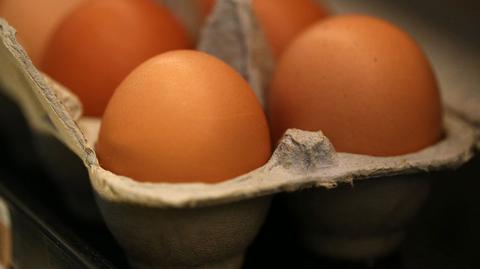 Because of bird flu: US ask Germany to send eggs