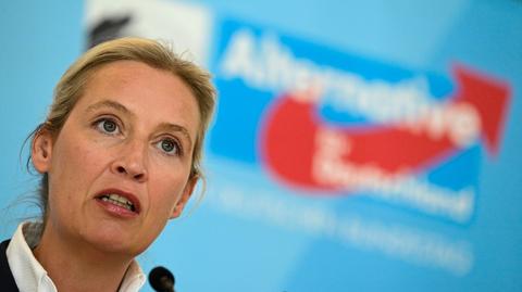 "Certainly right-wing extremist": Possible consequences for the AfD
