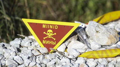 Baltics, Poland planning to leave anti-personnel landmines ban convention