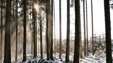 Estonia likely to spend tens of millions of euros on emissions units