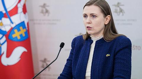 Lithuania may need to amend constitution for nuclear weapon deployment – MoD
