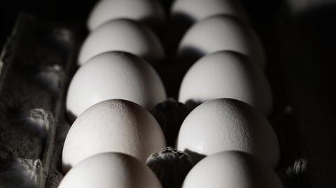 US interested in Lithuanian egg imports – media