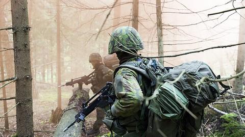 From NBA dreams to army greens? Lithuania woos diaspora recruits