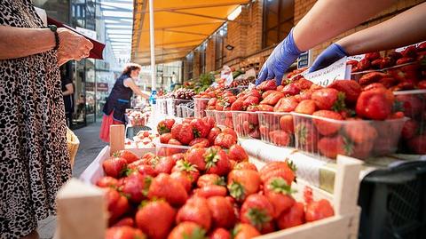 Strawberry season begins in Lithuania but cool weather keeps prices high