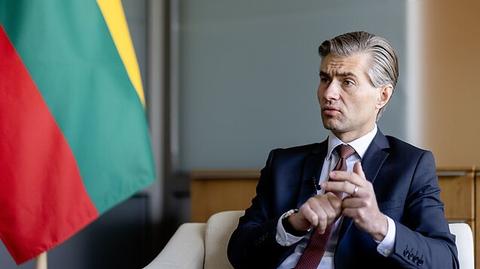 Western pressure on Russia over Ukraine ceasefire ‘works’ – Lithuanian FM