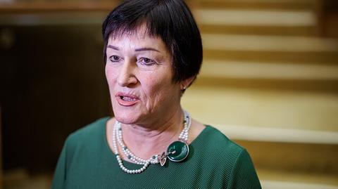 Lithuanian parliament debates free abortion bill
