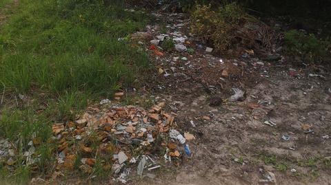 The amount of waste in the Riga forests has increased significantly