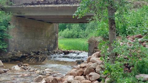 About half of the artificially created culverts in Latvia's rivers cause problems for fish