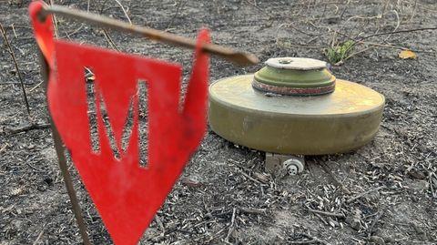 Latvia likely to exit Ottawa Convention on anti-personnel land mines