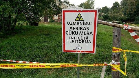Swine fever found in pig farm near Tukums, Latvia