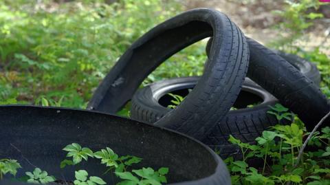 Tonnes of trash dumped in Latvia's forests and cemeteries every month