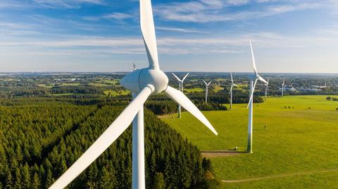 Minister orders suspension of new wind farm contracts in Latvia