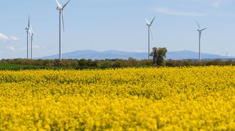 Spain's electricity grid warned in 2023 of the need for "urgent measures"