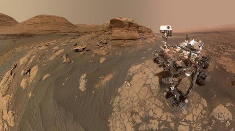 Ultraviolet radiation measured on the surface of Mars is compatible with life